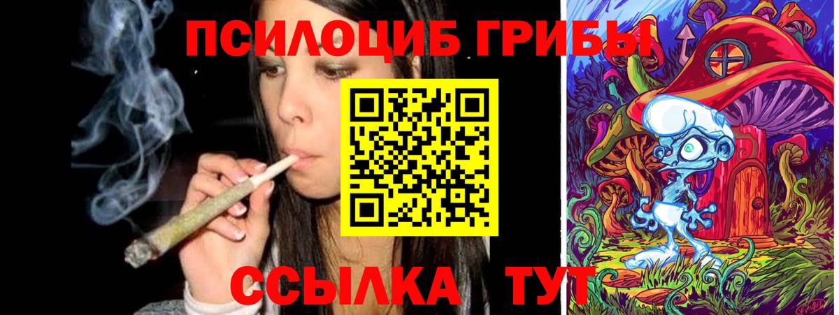 Галлюциногенные грибы прущие грибы  Вход с VPN  Камышин 