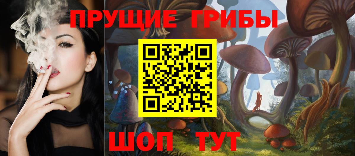 Псилоцибиновые грибы GOLDEN TEACHER Камышин